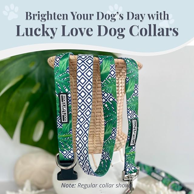 Foto 7 de 7 de Lucky Love Dog Collar, hermoso y vívido patrón XS Boy Dog Collares