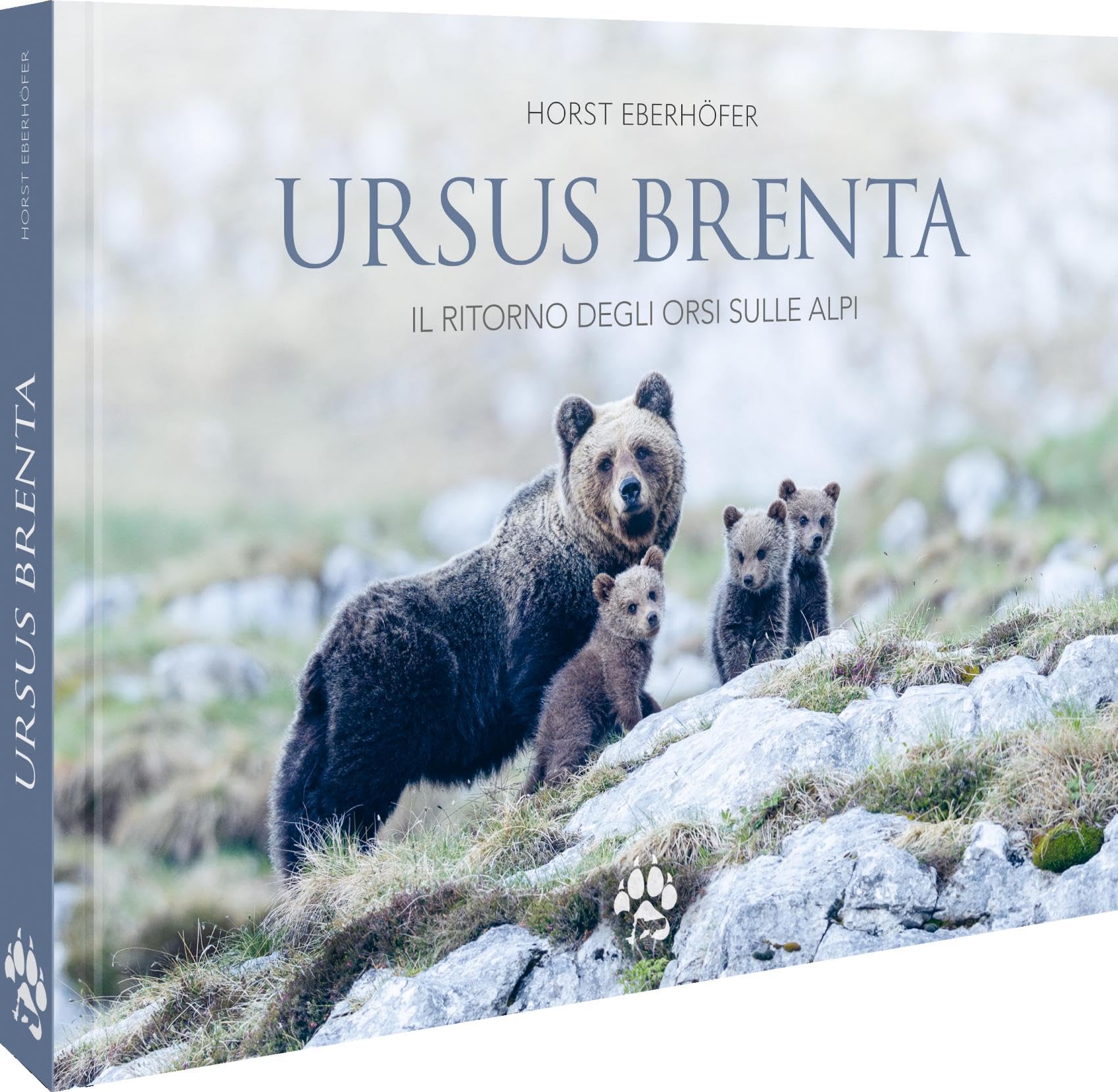 Ursus Brenta ― Die Rückkehr der Bären in die Alpen
