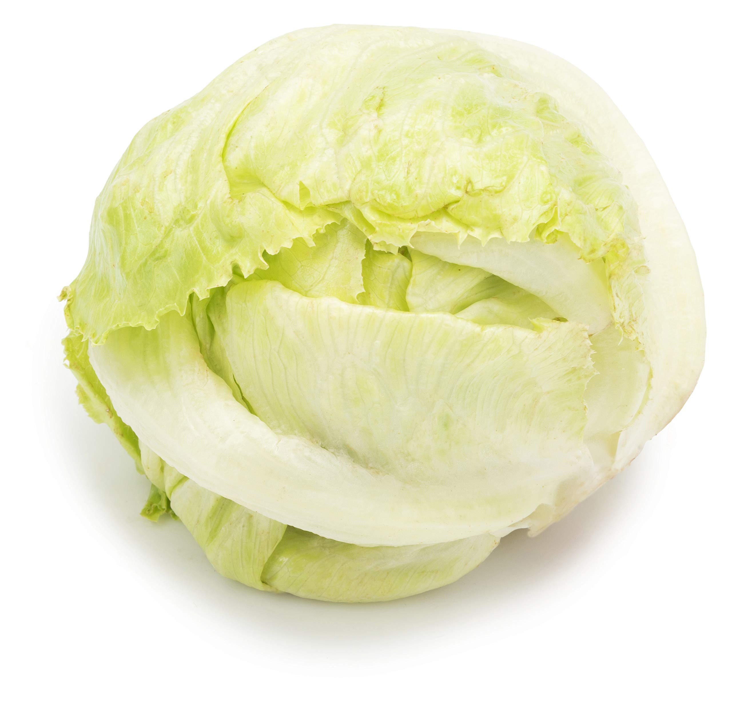 Fresh Iceberg Lettuce, 1 Piece (Approx.250 gm)-picture-32
