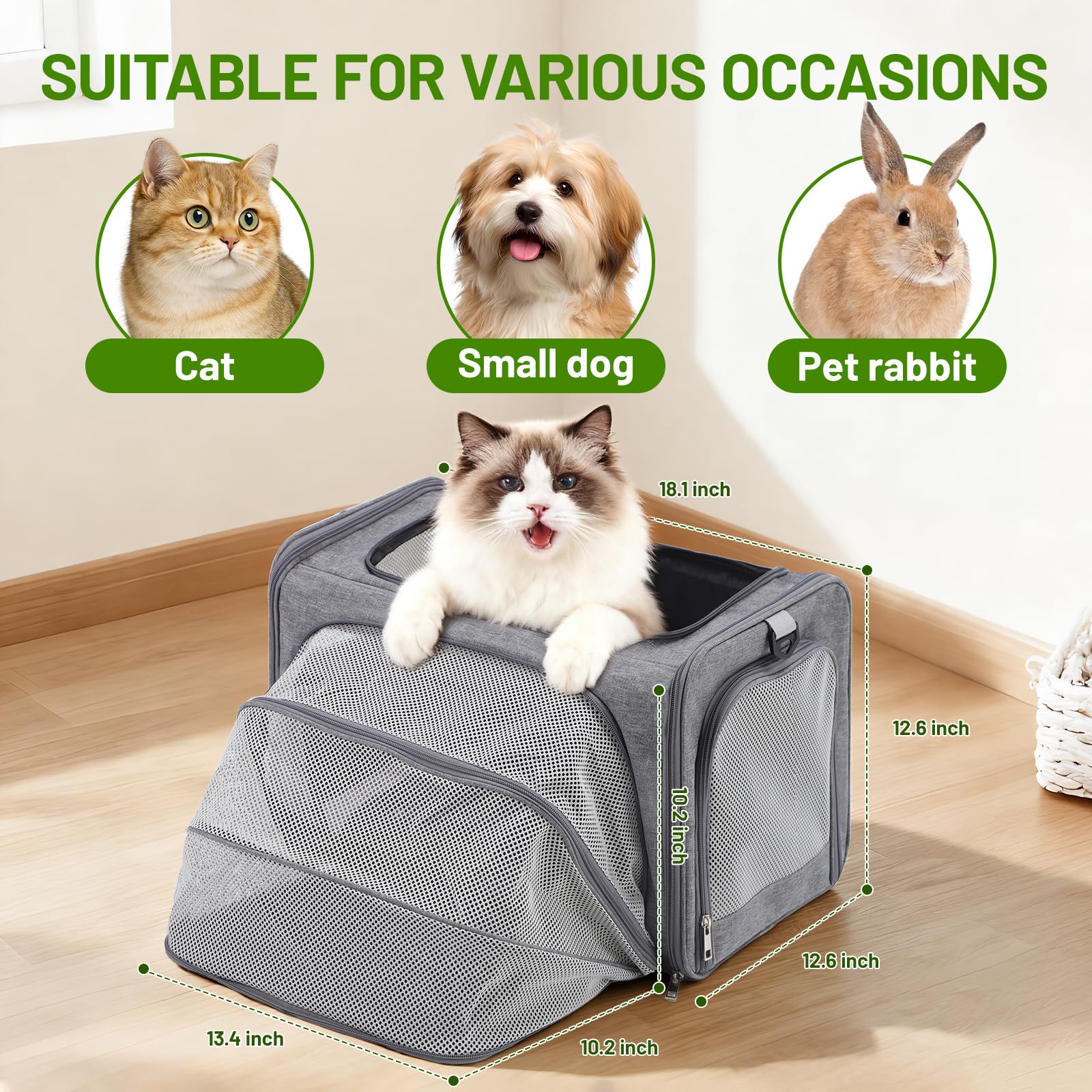Cat Carrier, Expandable Pet Travel Carrier, Airline Approved Soft Sided Cat Travel Bag with Safety Belt，Adjustable Carry Handle & Shoulder Strap, Portable Cat Bag for Small Pet Dog Kittens - image 3
