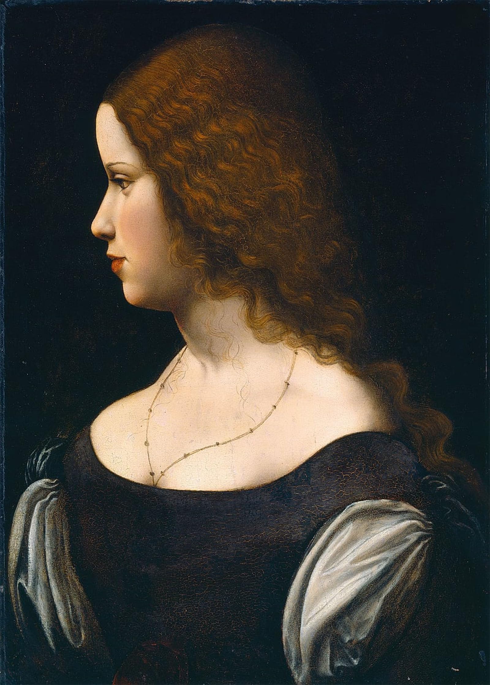 POSTERIIk Vintage Classic Picture Landscape Artwork Portrait of a Young Lady by Leonardo Da Vinci Portrait Canvas Painting for Office Home Decor 60x90cm