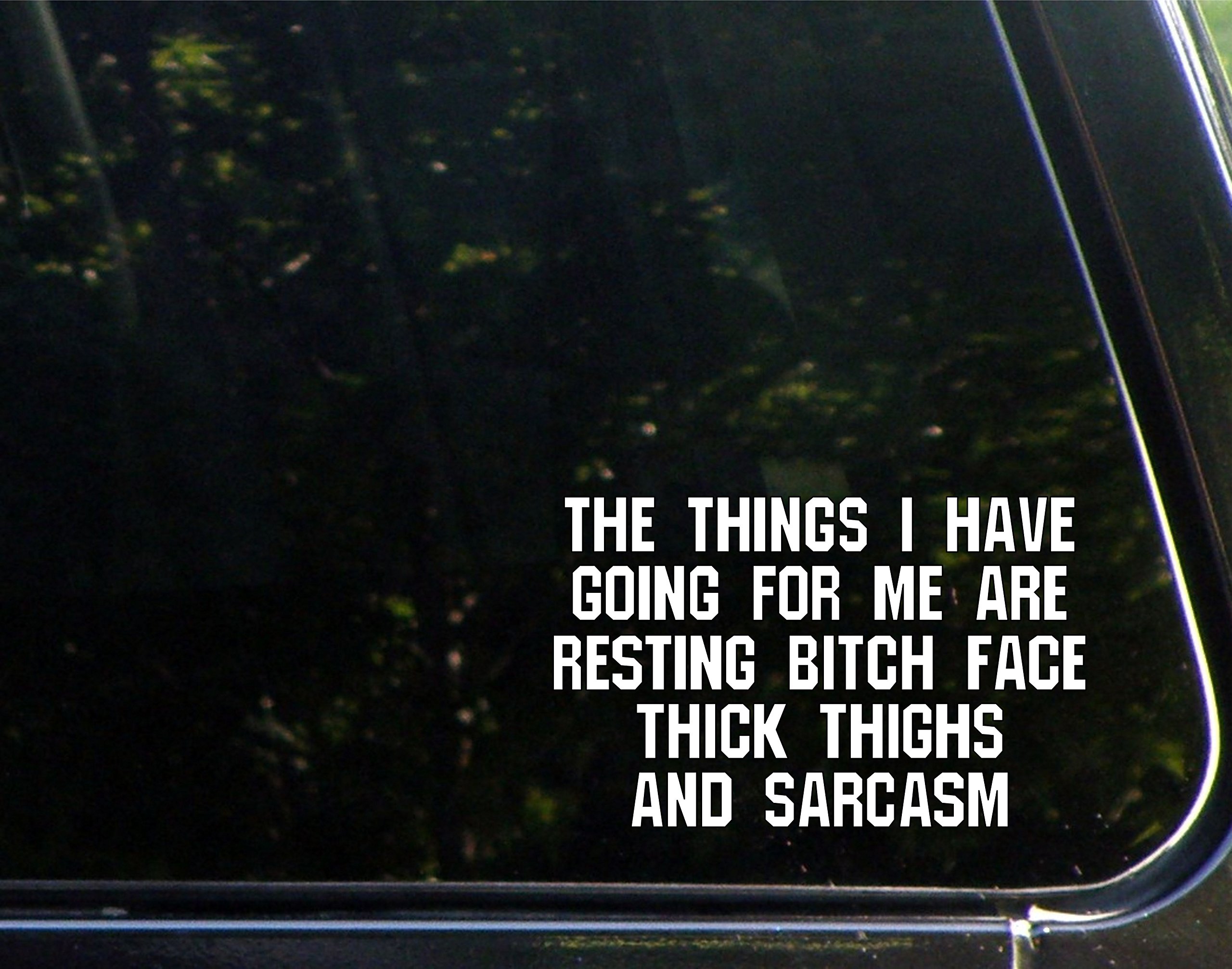 The Things I Have Going for Me are: Resting Bitch Face, Thick Thighs and Sarcasm - 6-1/4