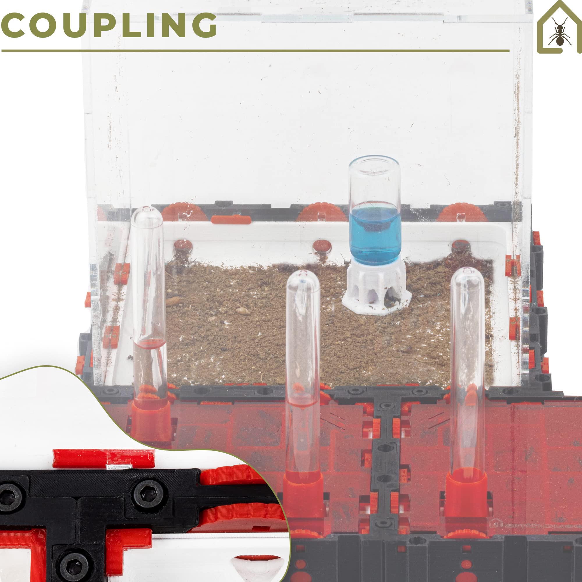 Formicaio Modulare 3D QBIK One Foraging Box 6,78x6,78x10 cm Terrario