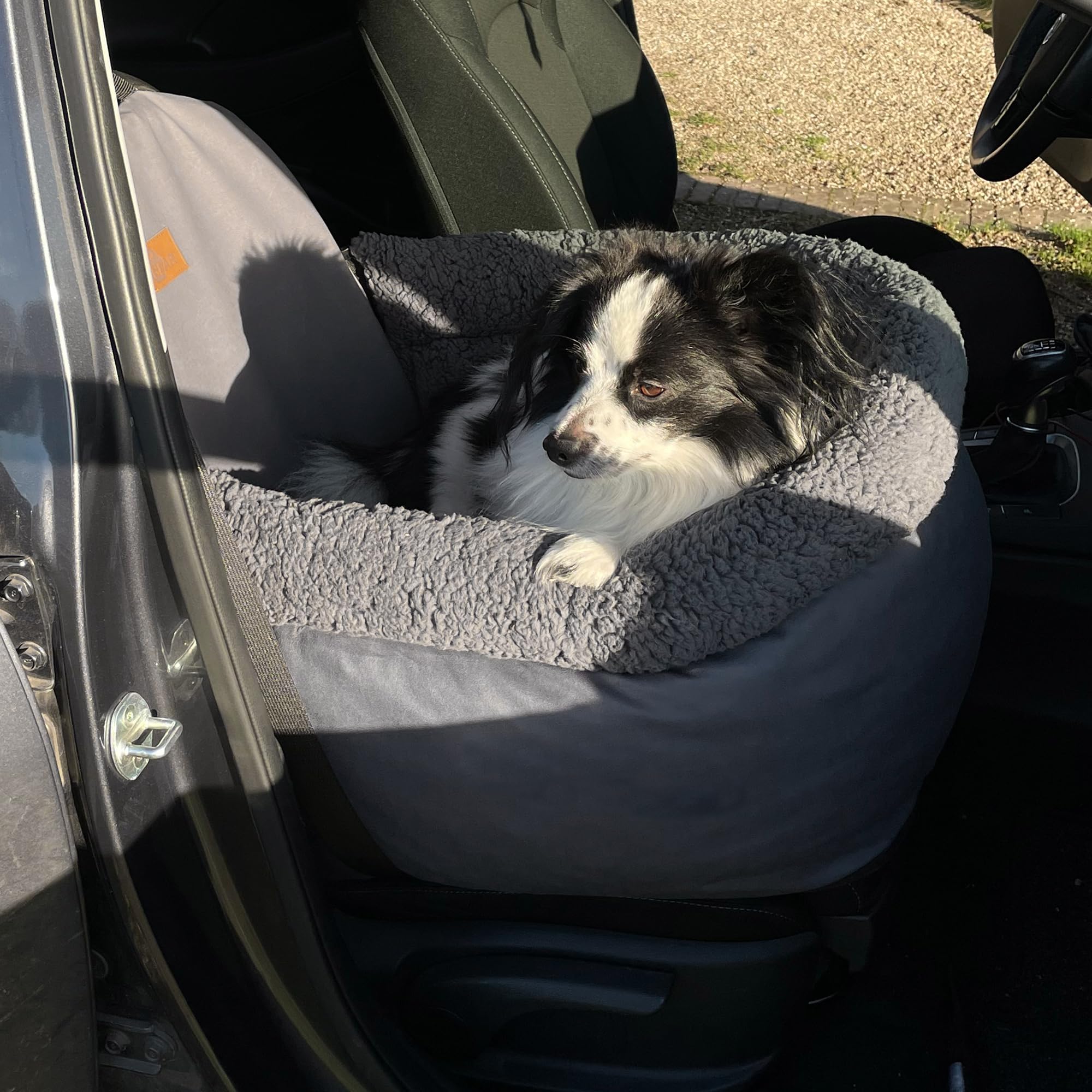 your GEAR Frontera Hundeautositz 60x53 cm – Auto Hundebett Auto mit Memory Foam & Sicherheitsgurt – Waschbarer Teddy-Stoff Hundekorb für Kleine & Mittlere Hunde – Rücksitz & Vordersitz