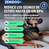 Ver la foto 4
