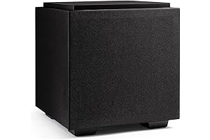 DESCEND DN8 8-Inch Subwoofer by REL Acoustics: Experience the power of sound and vision