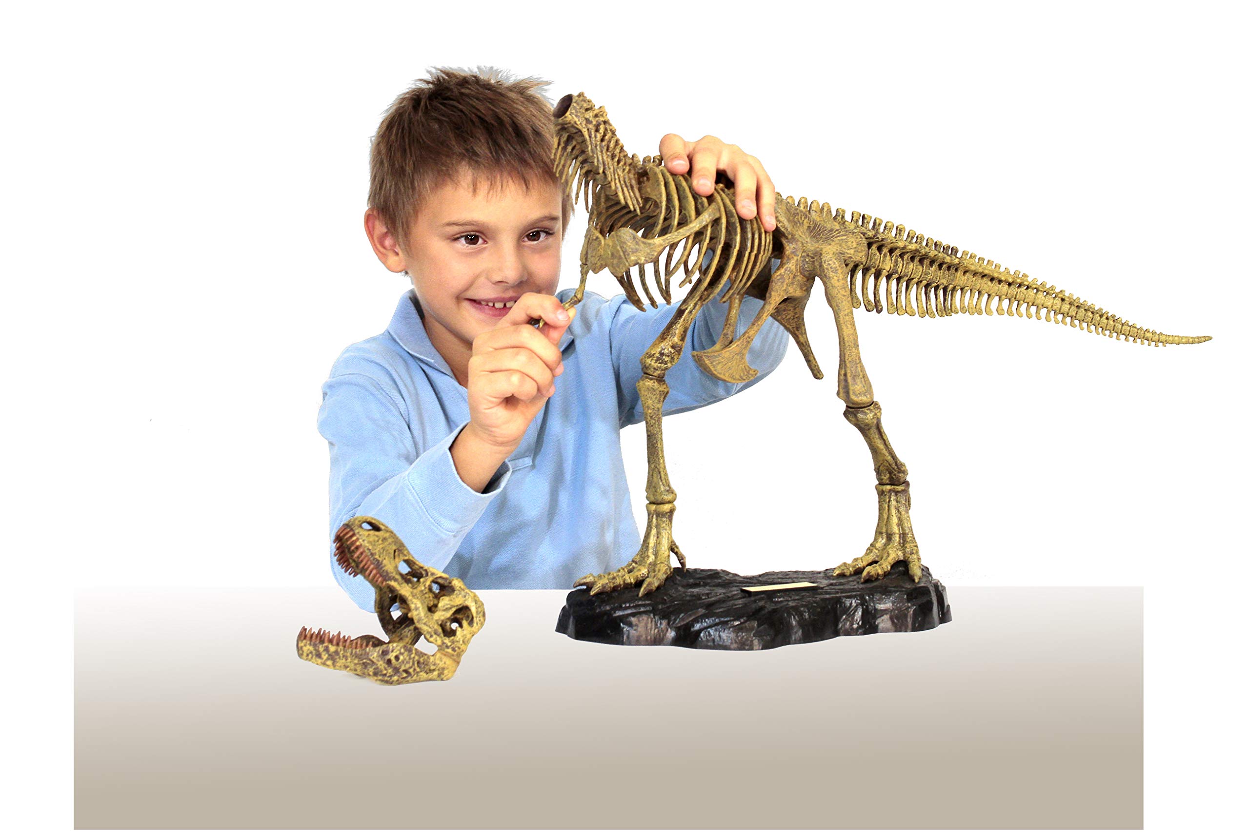 Geoworld - Kit de Ensamblaje de Esqueleto con Tyrannosaurus Rex Dr. Steve (Tachan 90891082), 91082BF