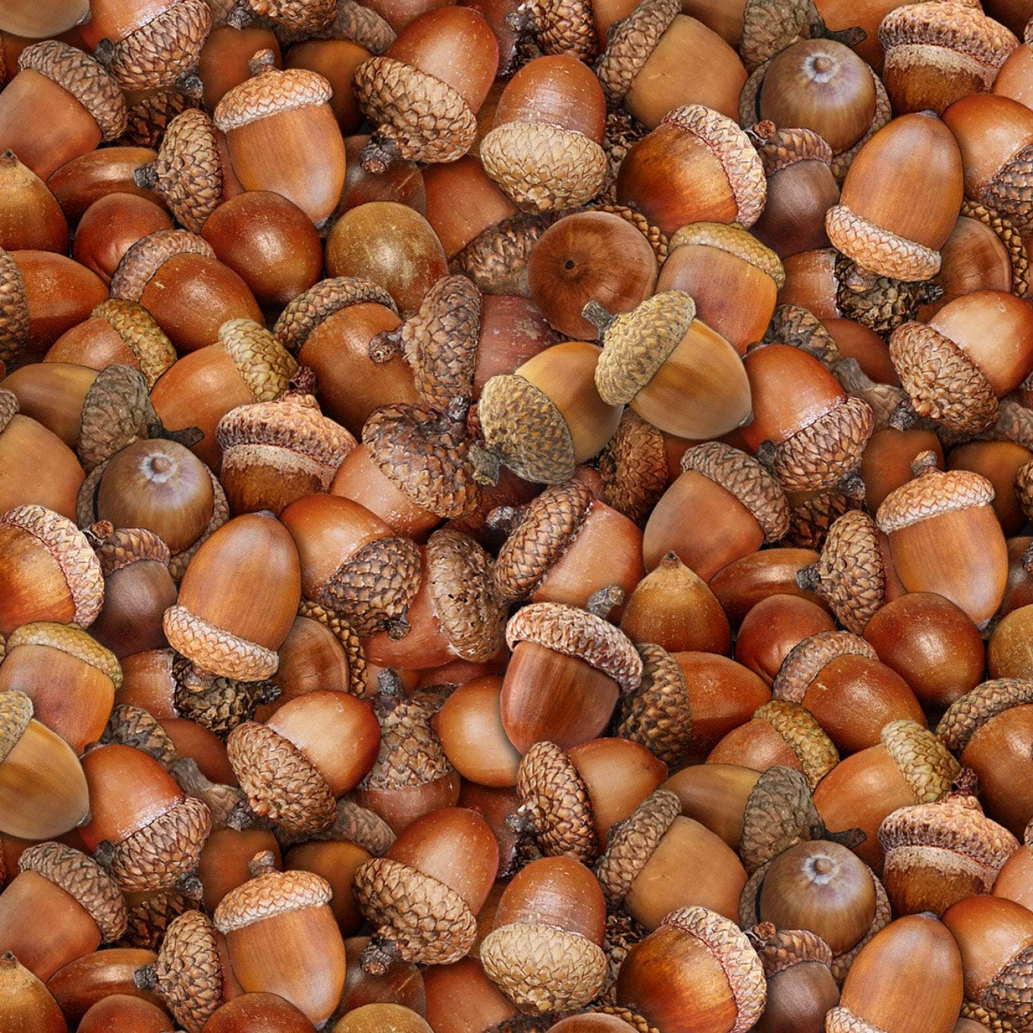 Acorn Fabric Landscape Medley Acorns in Brown 100% Cotton Fabric by The Yard