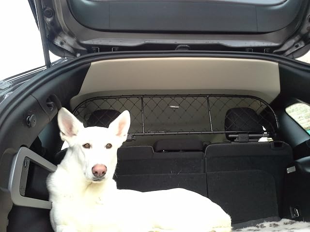 Foto 4 de 5 de ERGOTECH Rejilla Separador protección RDA65-XS16 kjp003, para Perros y Maletas. Segura