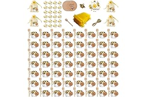 Affordable Mini Jam and Jelly Jars 60-Pack