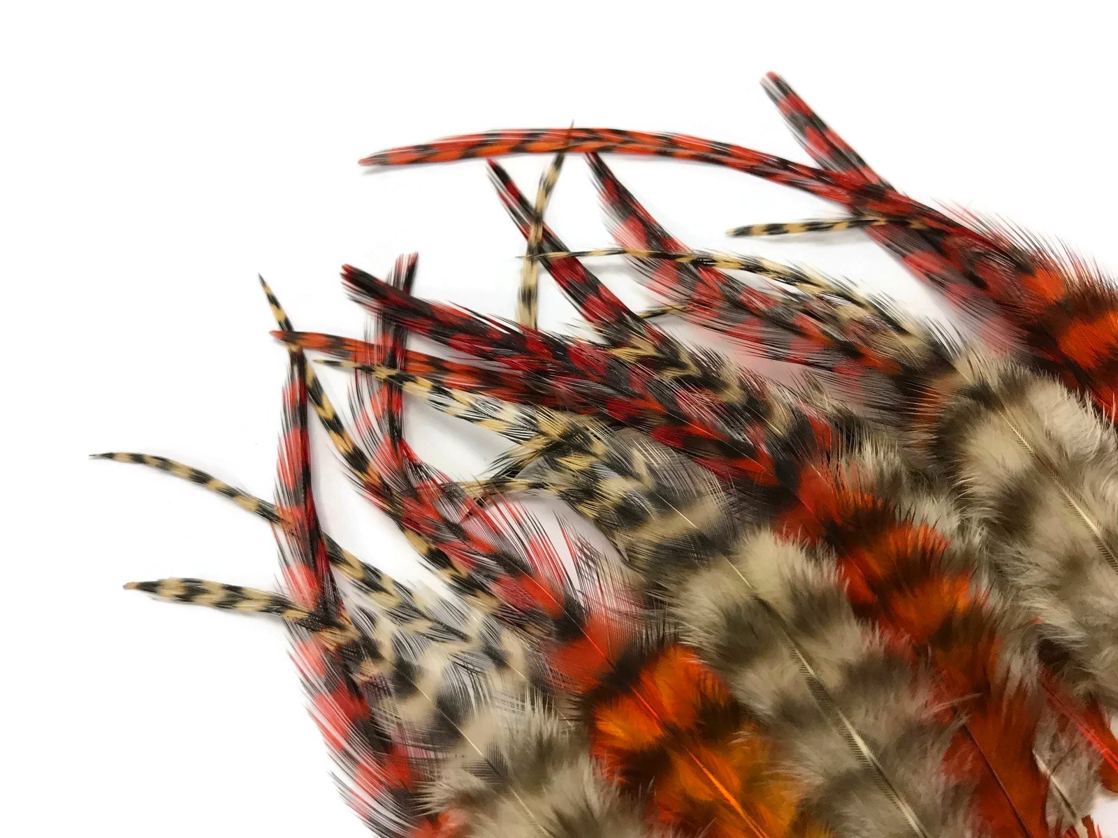 Hair Feathers, 2 Dozen - Short Orange And Tan Grizzly Rooster Hair Extension Feathers