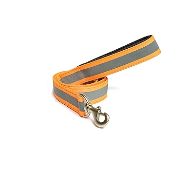 PetWale Reflective Orange Dog Leash - (Size : Large)
