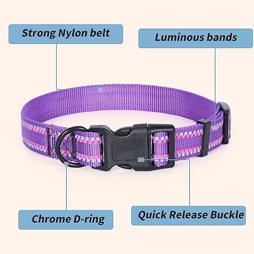 Miniatura 7 de Mile High Life Collar de nailon con luz nocturna, collar reflectante para perro, correa autoluminiscente fluorescente para perros pequeños, medianos