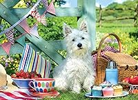 Vista 201 de Mapa de Europa