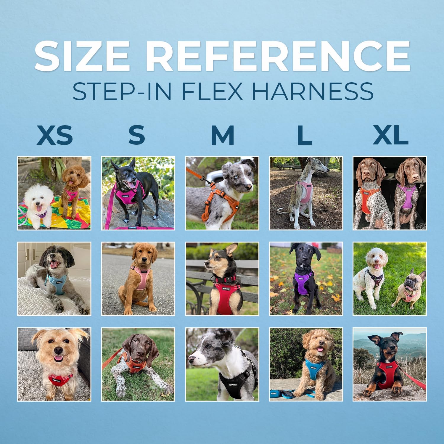 Best Pet Supplies Voyager Adjustable Step-in Flex Breathable Mesh Dog Harness for Small Medium Large Dogs Leash Set (Orange), XL