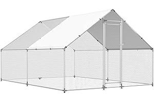 Spacious Metal Chicken Coop: The Ultimate Chicken Run for Your Yard