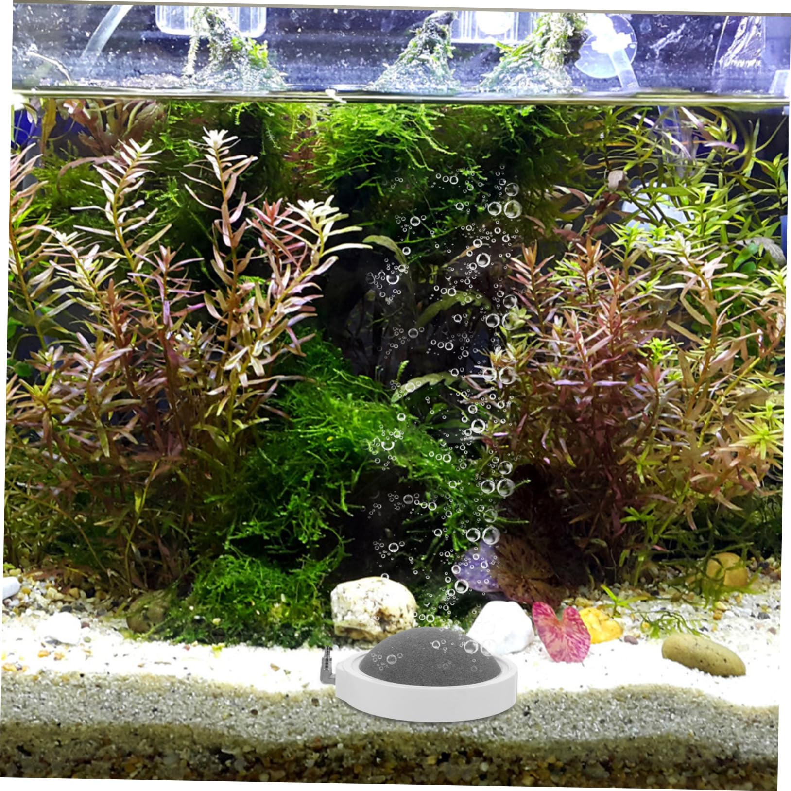 2 Stück Aquarium Blasensteine aus Nanomaterial zur Sauerstofferhöhung mit Gleichmäßiger Blasenverteilung für Fischbecken und Hydroponische Nährstoffbehälter im Büro