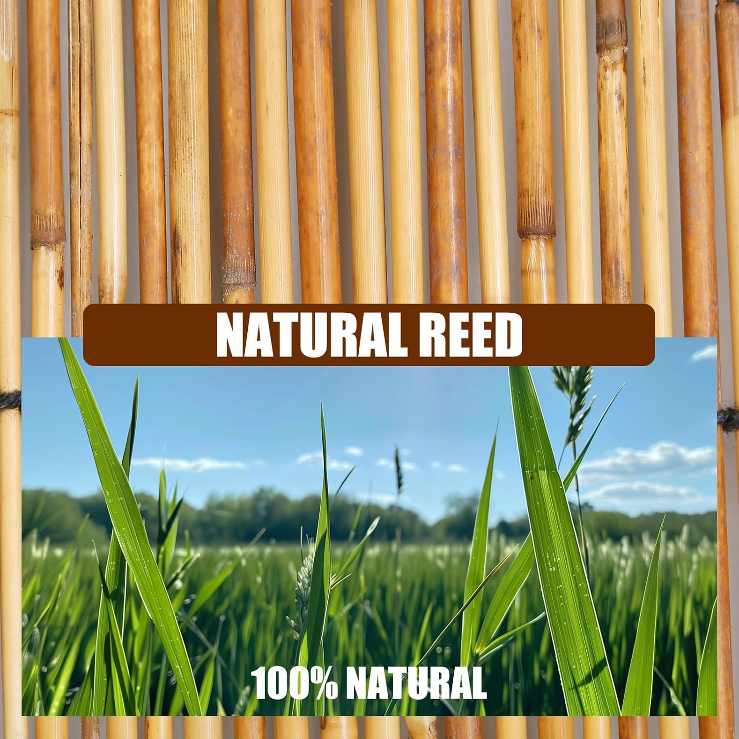 Natural Reed Fencing, Eco-Friendly Reed Fence, 3.3 feet High x 16.44 feet Long, Reed Screen for Backyard Patio Garden and More,Brown