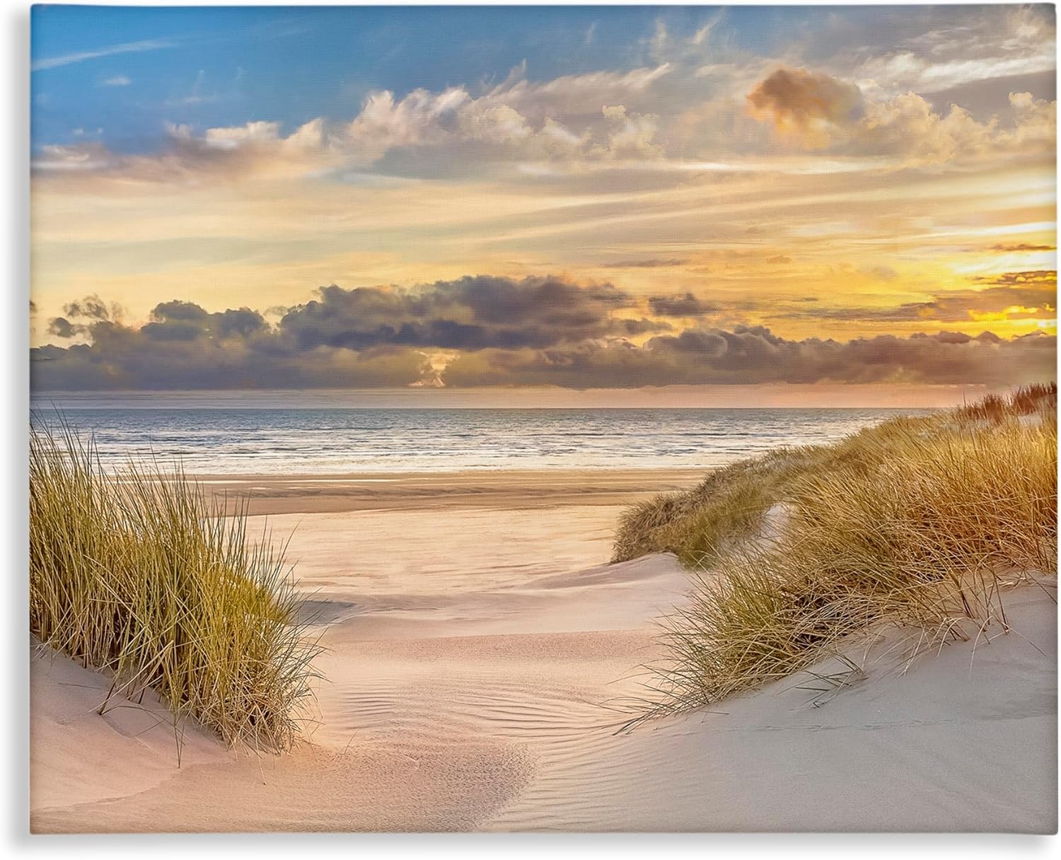 Stupell Industries Serene Beach Between Dunes Canvas Wall Art, design by Mike Calascibetta, 20 x 16