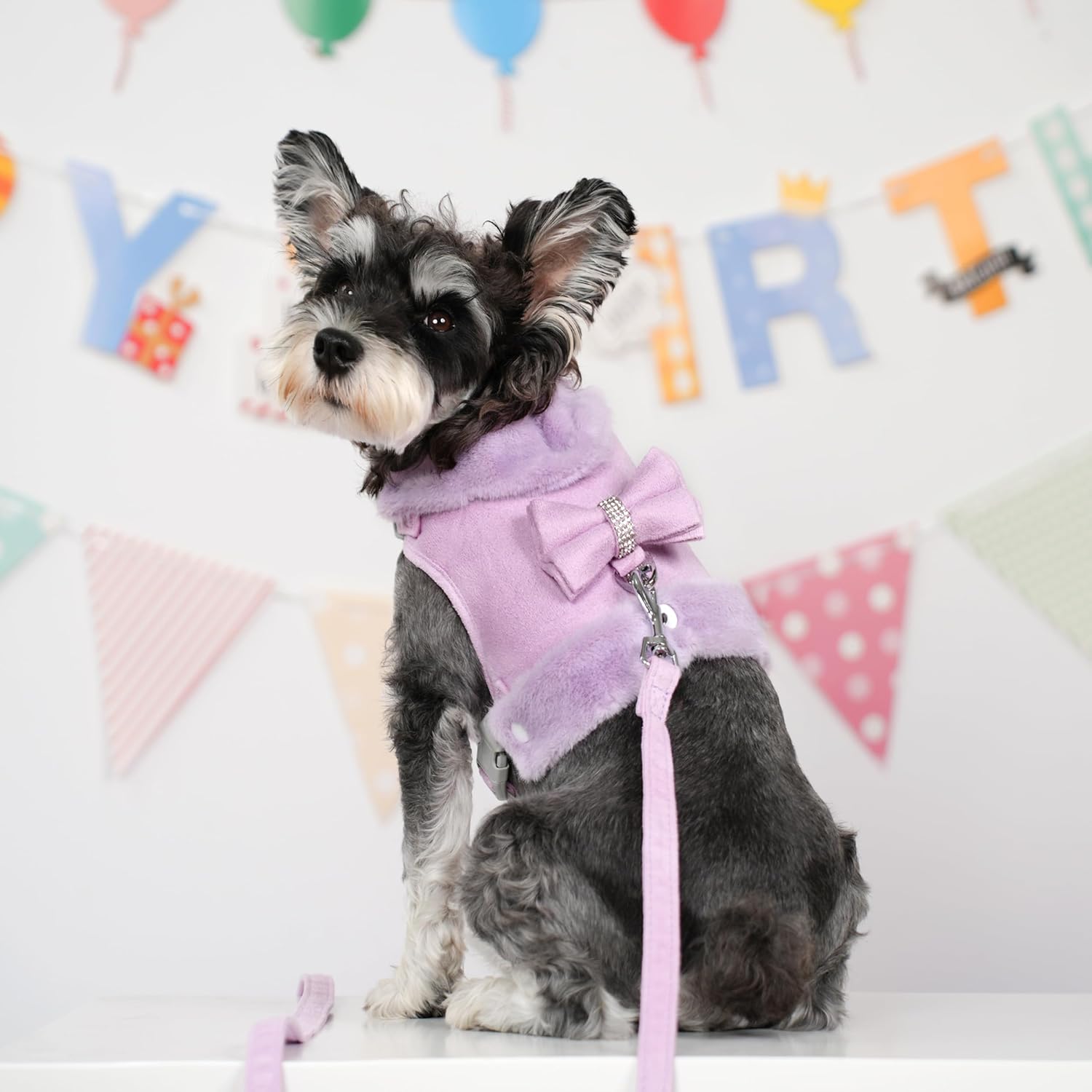 Didog Small Dog Harness and Leash Set, Winter Cute Dog Harness with Bow Tie, Adjustable Soft Padded Puppy Vest with Removable Plush Collar for XS Small and Medium Sized Dogs (Purple, S)