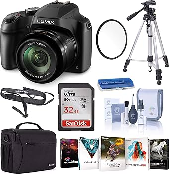 Amazon.com : Panasonic Lumix DC-FZ80 4K Digital Camera, 18.1
