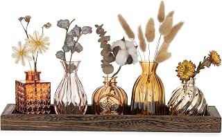 Hewory 5er Kleine Vasen Set mit Holztablett für Tischdeko Herbstdeko Innen