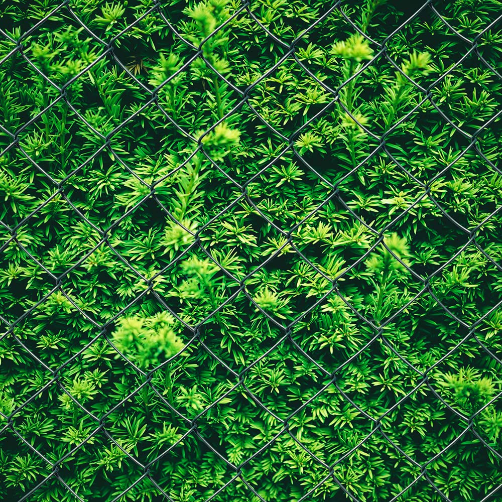Valla de malla de alambre recubierto de PVC, color verde, alambre de 2,8 mm de diámetro, malla de 60 x 60 mm, malla cuadrada, altura: 80 cm, longitud: 15 m