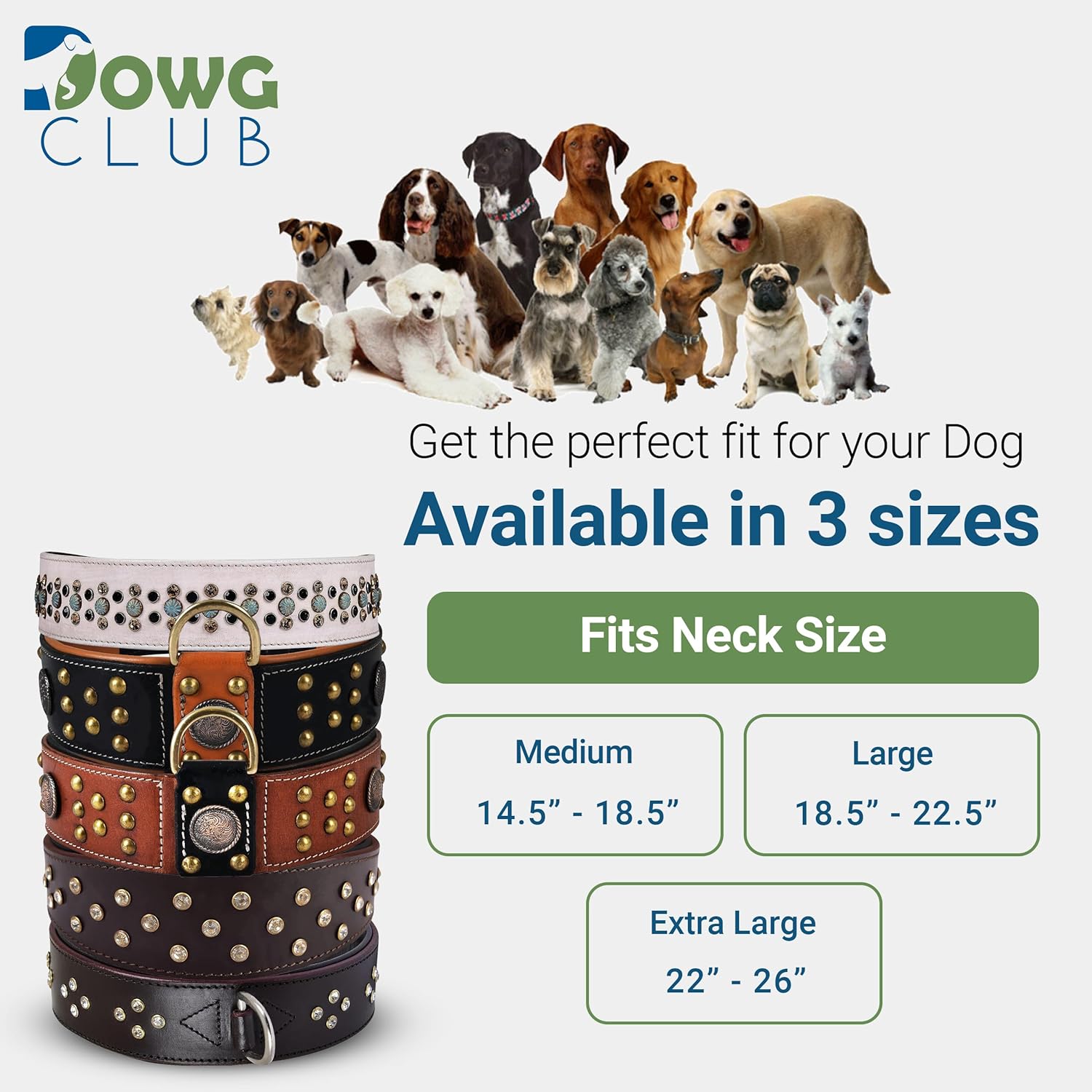 Genuine Leather ‘Cupola’ Series Dog Collar | Celtic Conchos & Gold Dome Rivets | Soft, Cushion Padding, Handmade | Best for Medium, Large, XL Breeds (XL (Neck Size 22.5"-25.5"), Sable Black)