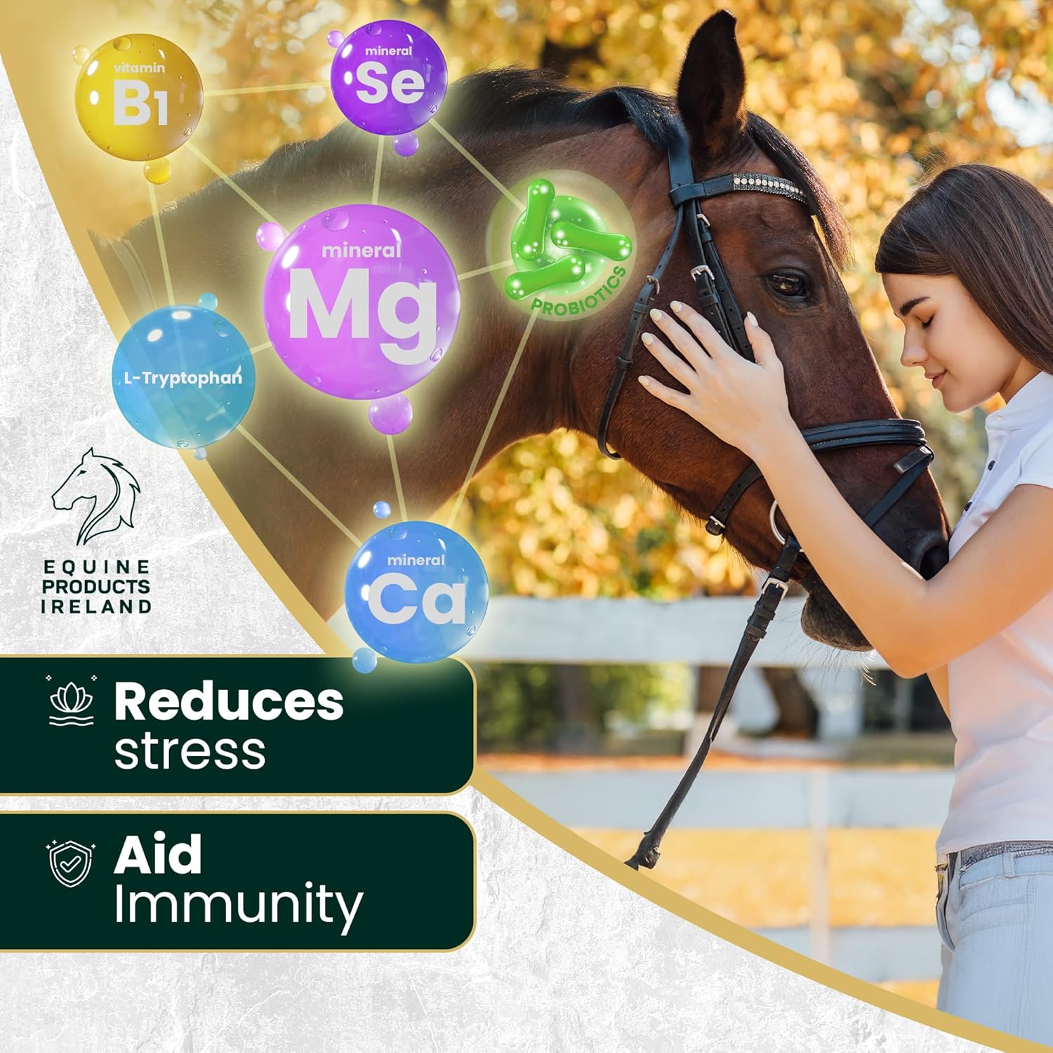– Calm Equine – Daily Use Calmer for Anxious or Excitable Horses, Reduces Stress, Supports Focus & Mood Stability, Magnesium & L-Tryptophan Horse Feed Formula – 2 kg (4.4 lbs)