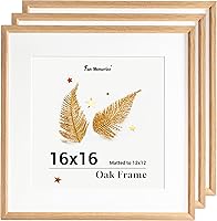 Vista 652 de Fun Memories Portarretratos de metal de 16 x 20 pulgadas con paspartú de 11 x 14 pulgadas, acabado de aluminio cepillado, parte delantera de vidrio