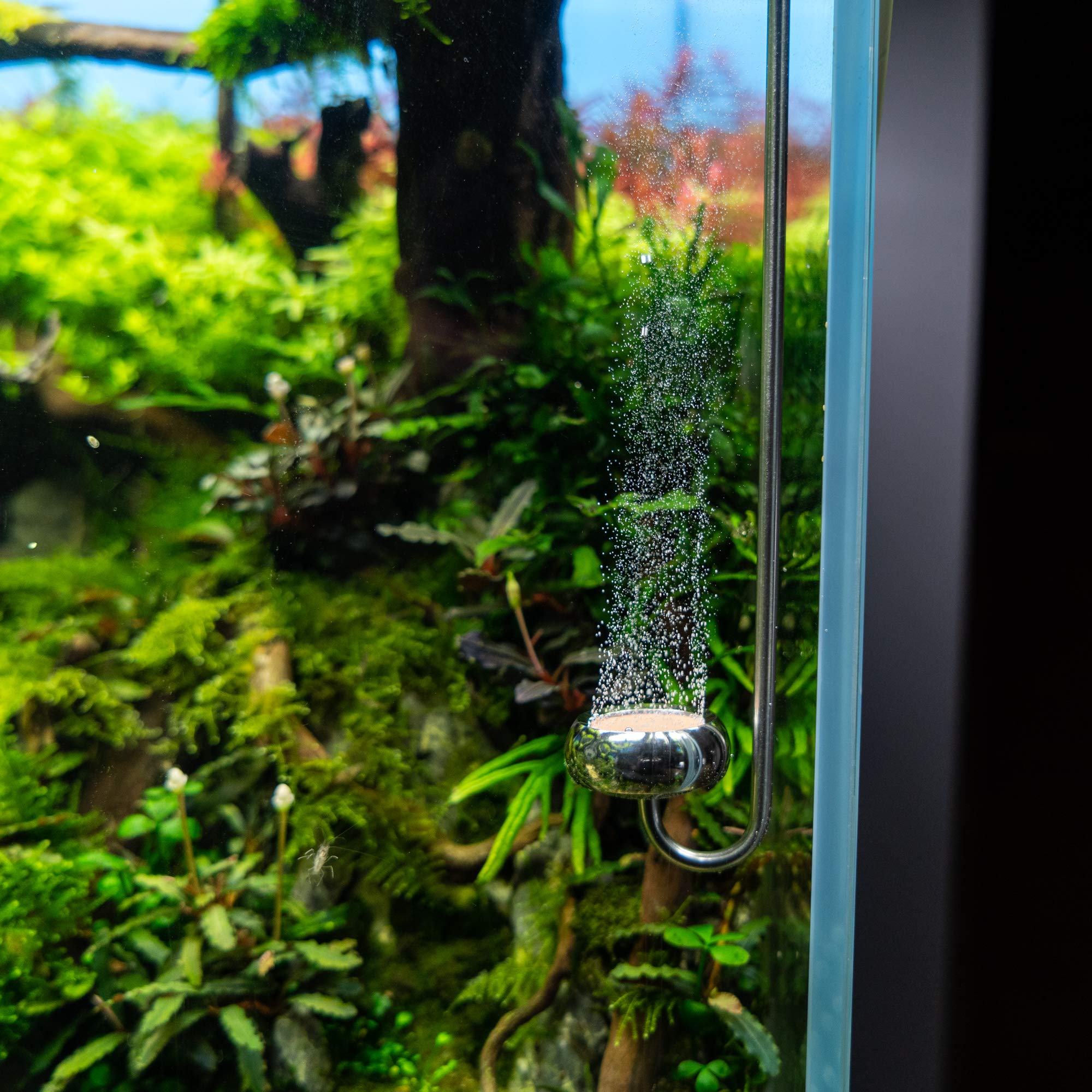 Diffusore CO2 Per Acquari In Acciaio Inox - 350mm, Filtro Ceramico Rimovibile, Silenzioso - Foto 3