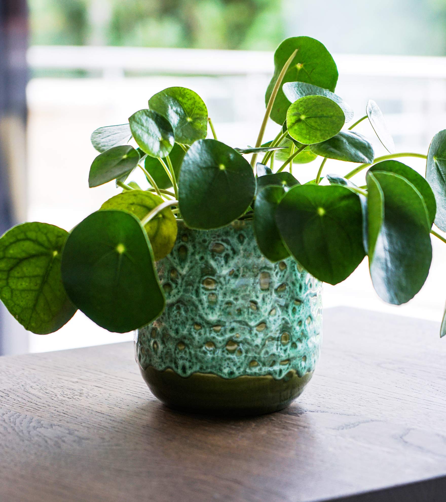 Ivyline Emerald Reactive Glaze Planter H16Cm D16Cm