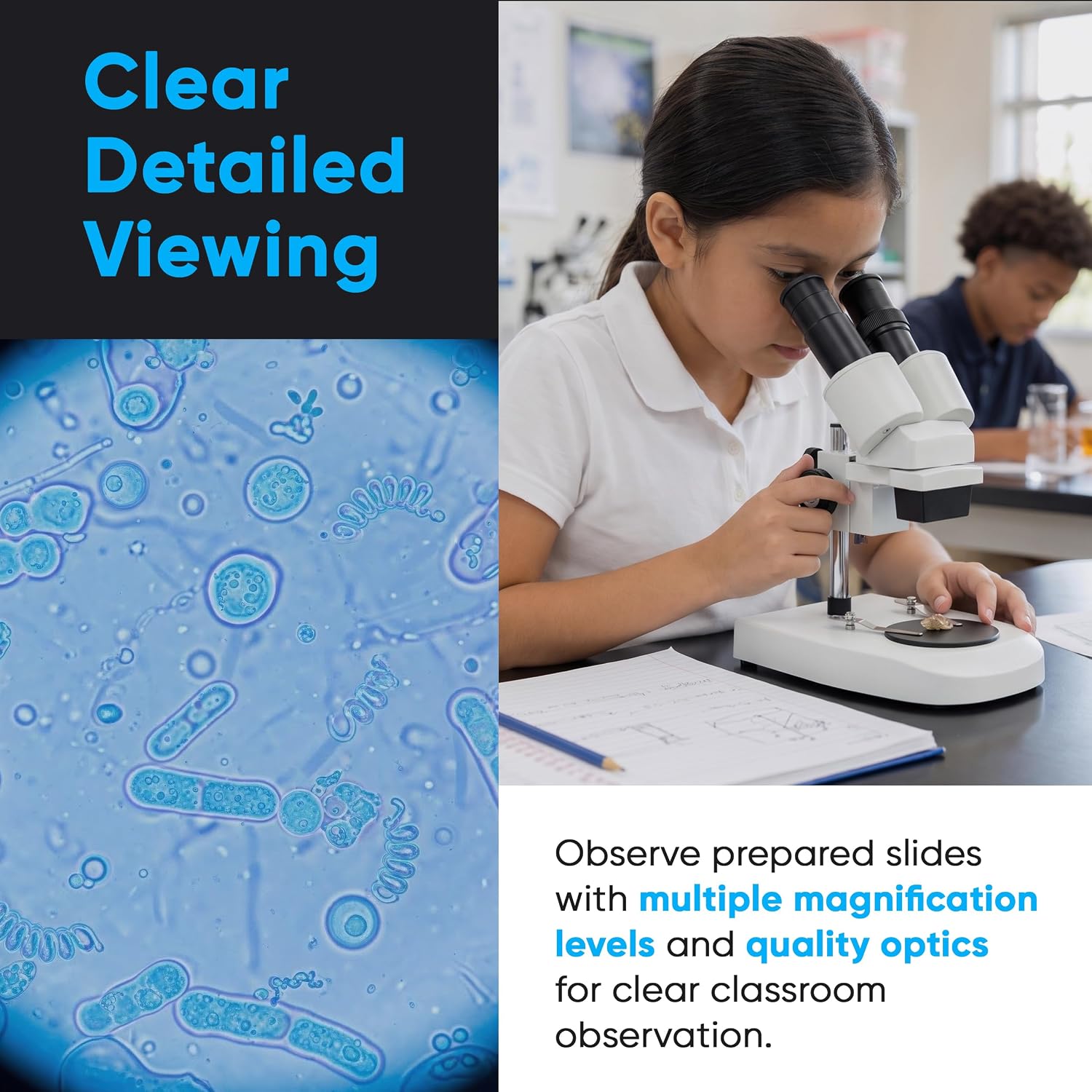 EduScope ES1 Elementary School Stereo Microscope, Binocular Microscope with 20X Magnification, WF10X Eyepieces, 2X Objective, Natural Light, 70mm Working Distance for Kids STEM Learning