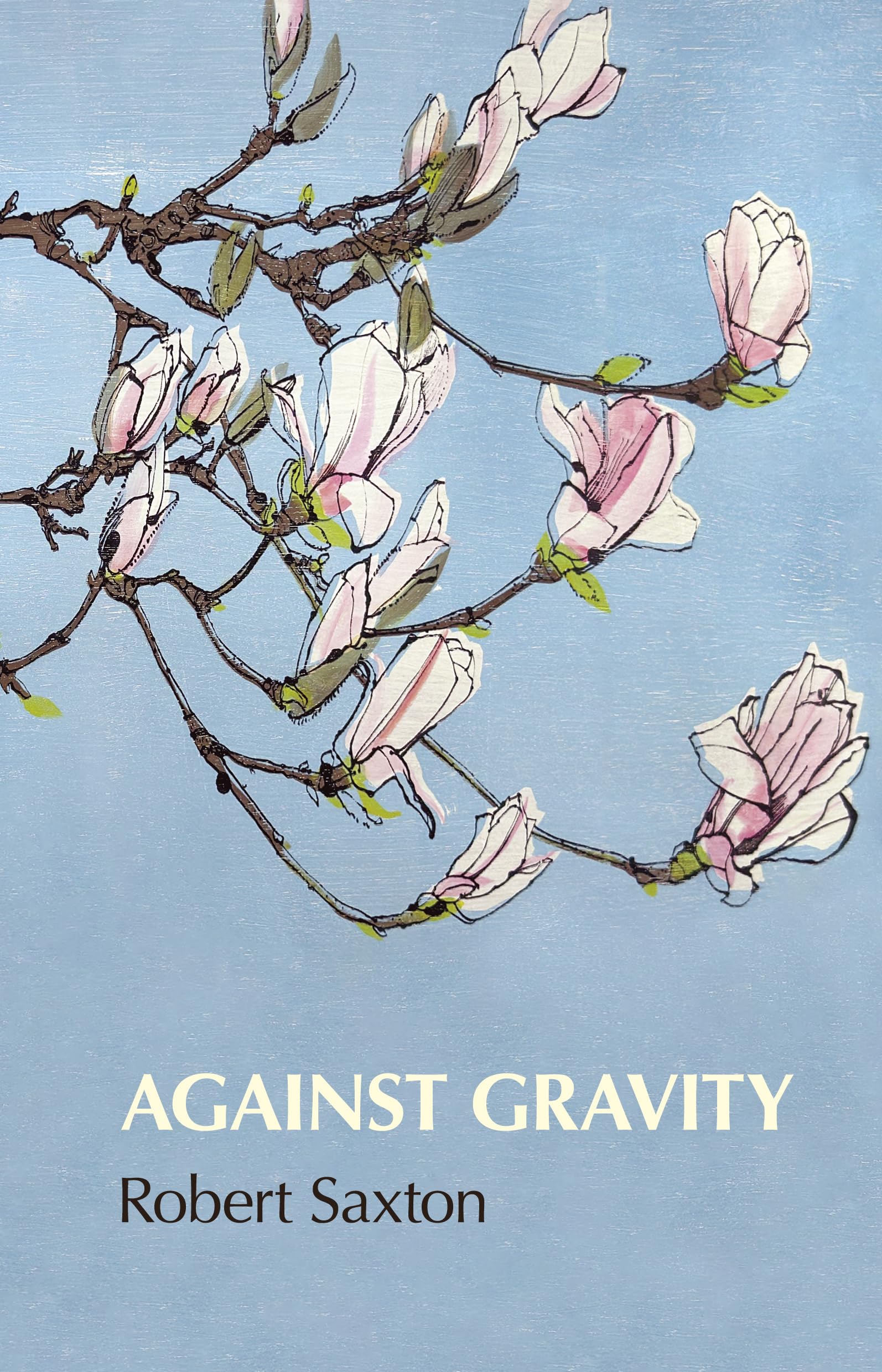 Against Gravity by Robert Saxton - 9781915048325