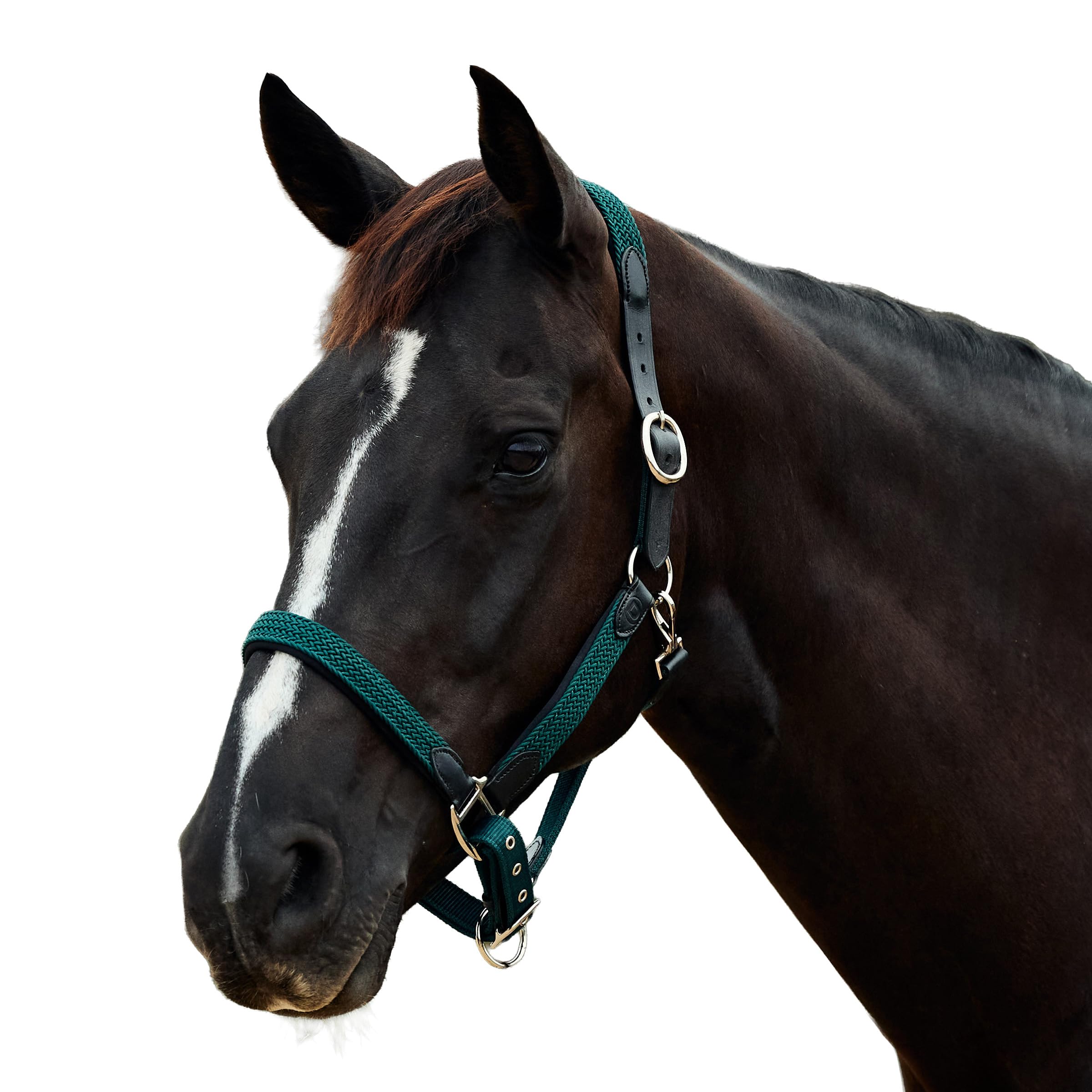 Dublin Braided Leather Headcollar, Hunter Green, Warmblood