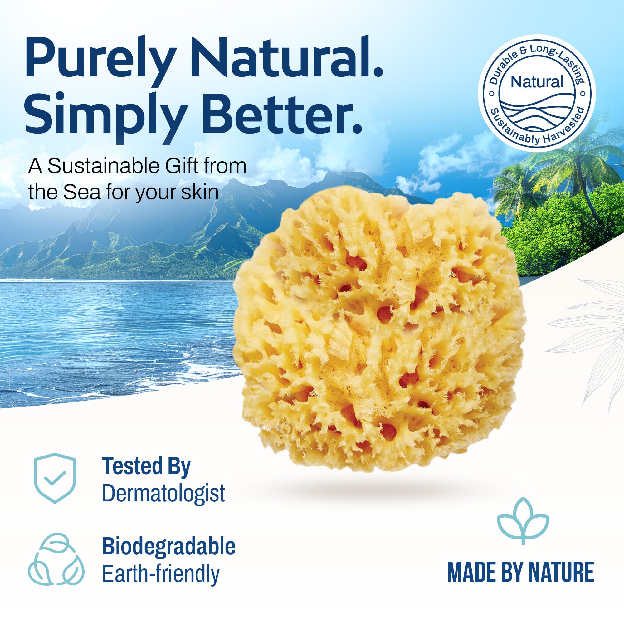 HartFelt Caja de belleza de esponja de mar para piel delicada | 2 esponjas de mar de lana de 4 pulgadas | Bolsa de malla para limpieza y secado | Caja de regalo