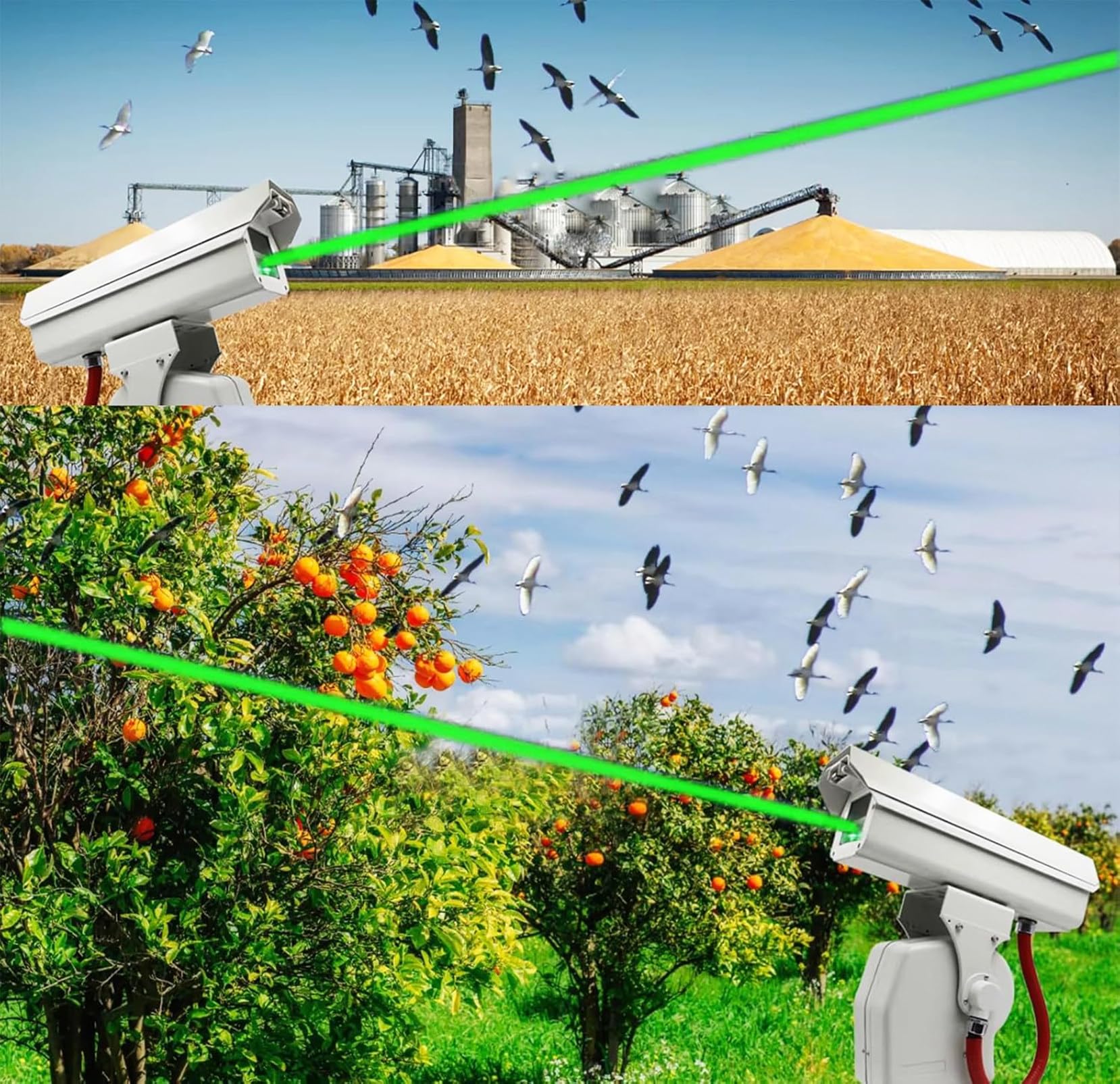 Dispositivo láser repelente de pájaros automático, espantapájaros giratorio de 360° con control remoto APP, IP66 impermeable, diseño silencioso para aeropuertos, huertos y tierras de cultivo