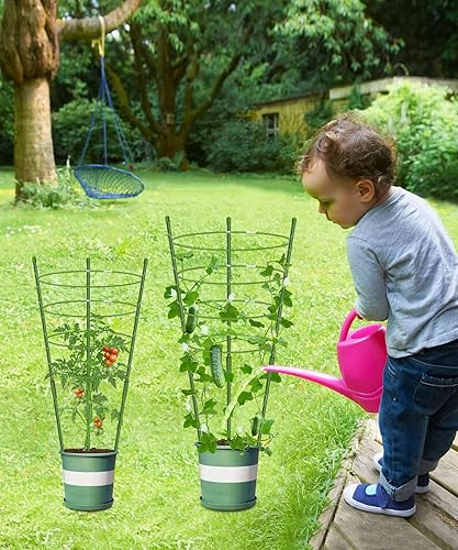Miniatura 4 de Paquete de 4 jaulas de tomate de soporte para plantas de jardín, enrejado mejorado de 36 pulgadas para plantas trepadoras, kits de enrejado de jaula