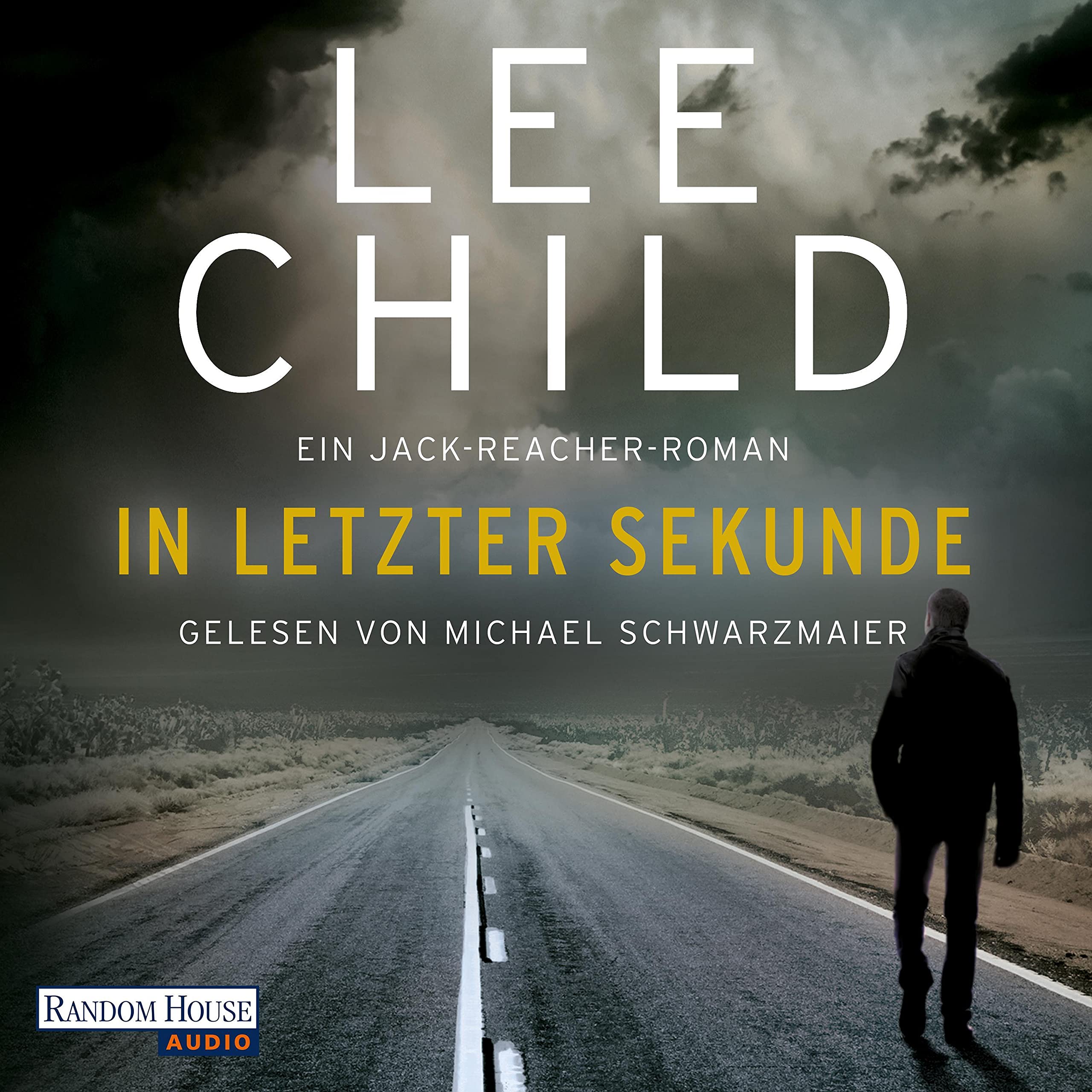 Cover art for In letzter Sekunde