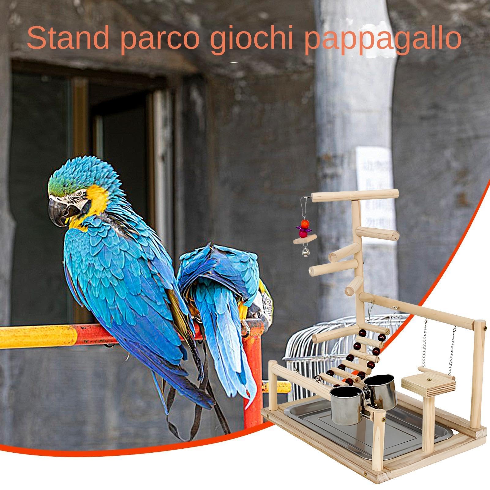 Support pour Oiseaux, Support pour perroquets, pour Oiseaux en Bois