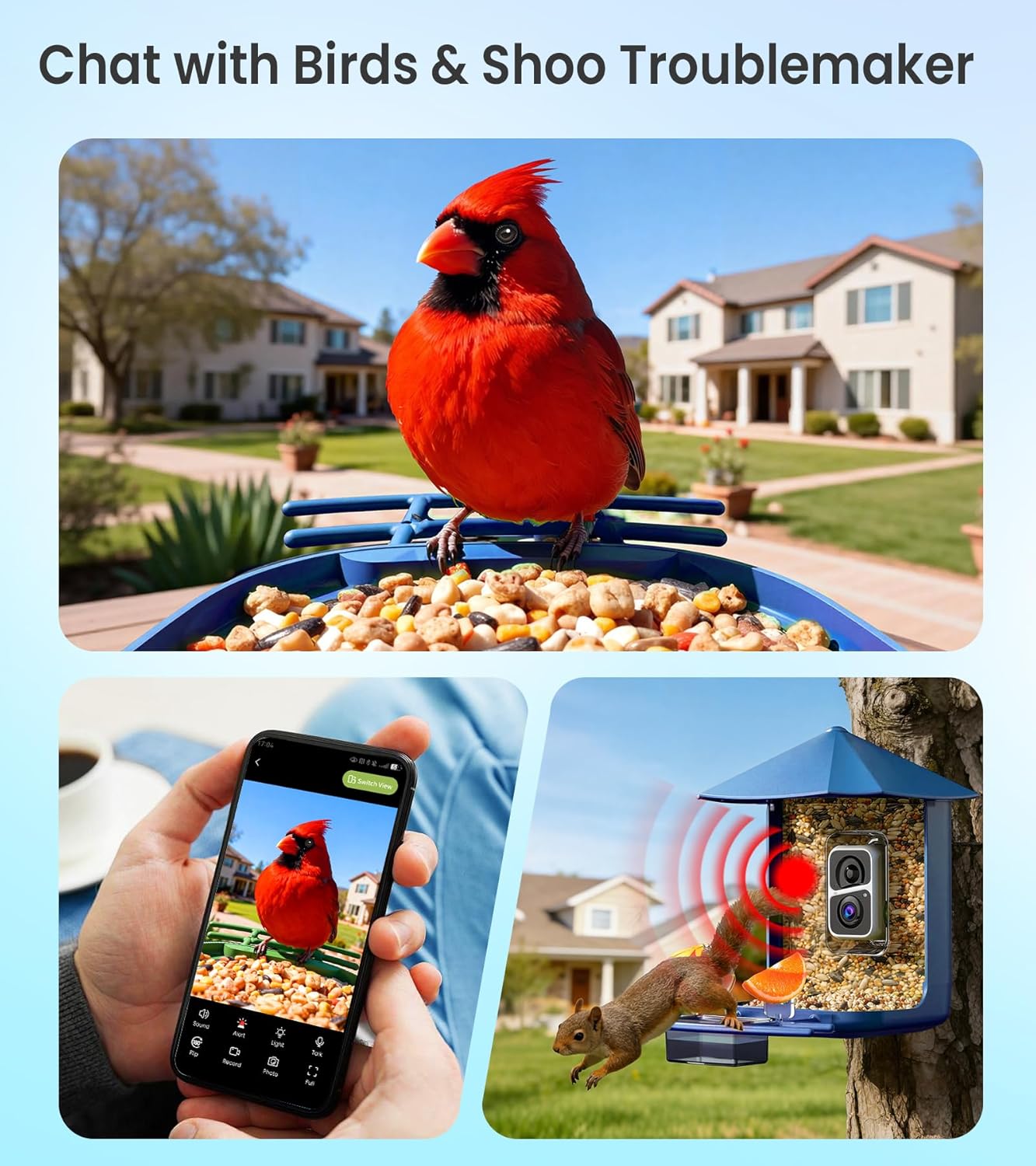 Smart Bird Feeder with Camera - 2.5K HD Night Vision Bird Feeder with Camera Solar Powered, Free AI Identify Auto Video 170° Live View Birds Feeders for Birds Lovers Outdoors(Blue)