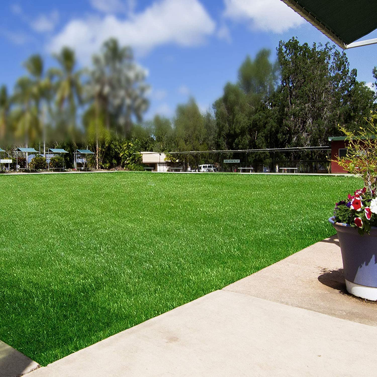 Césped artificial Nantes | Alfombra de césped | Césped enrollado | Altura del pelo: 35 mm | Robusto y resistente a los rayos UV | Césped para balcón, terraza y jardín (100 x 1000 cm)