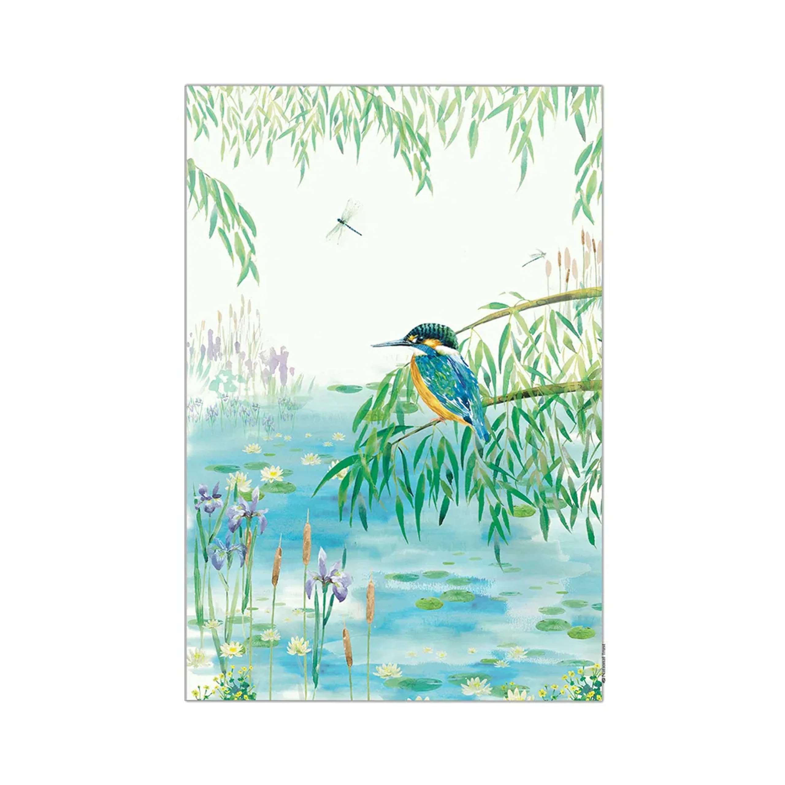 Eddingtons Multicoloured Kingfisher Patterned Organic Cotton Tea Towel/Dish Cloth - Eco-Friendly National Trust Nature Collection Kitchen Linens