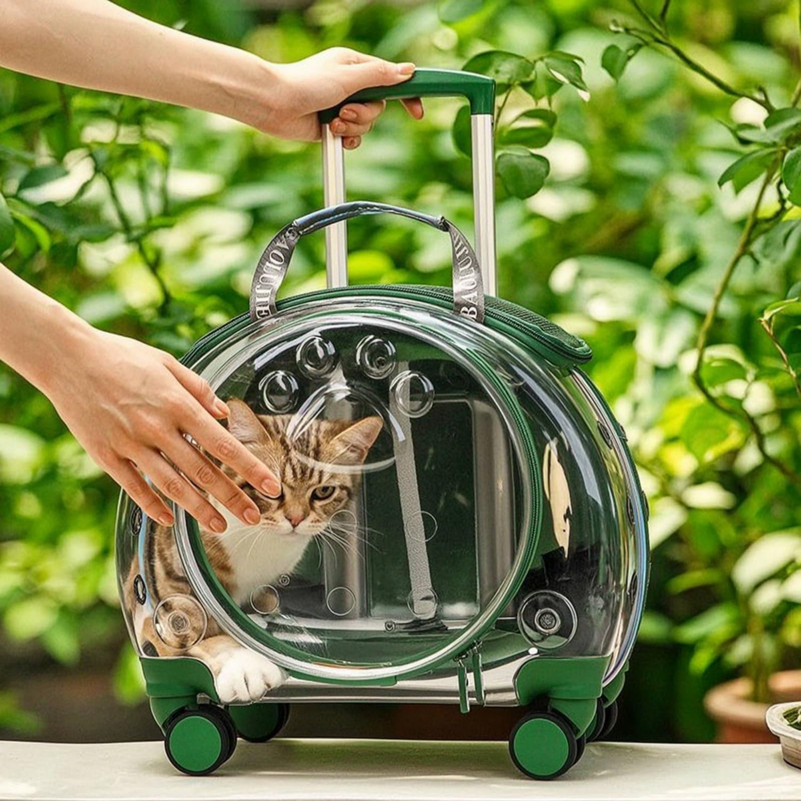 Baoblaze Trasportino Trasparente Zaino Trolley Borsa per Animali Domestici Gatto Cane Involucro Rigido in PVC E Acrilico con Panoramica Apertura Tonda Fori, Arancione Trasparente