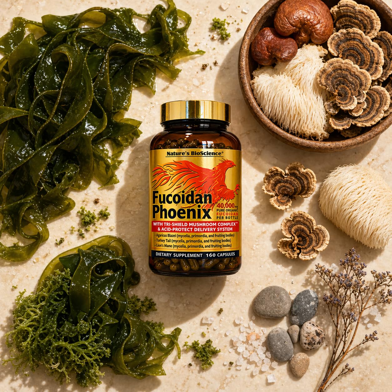 Nature's Bioscience ® FUCOIDAN Phoenix Advanced: Pure Organic Fucoidan + Pure Mushroom — Amazon image 3