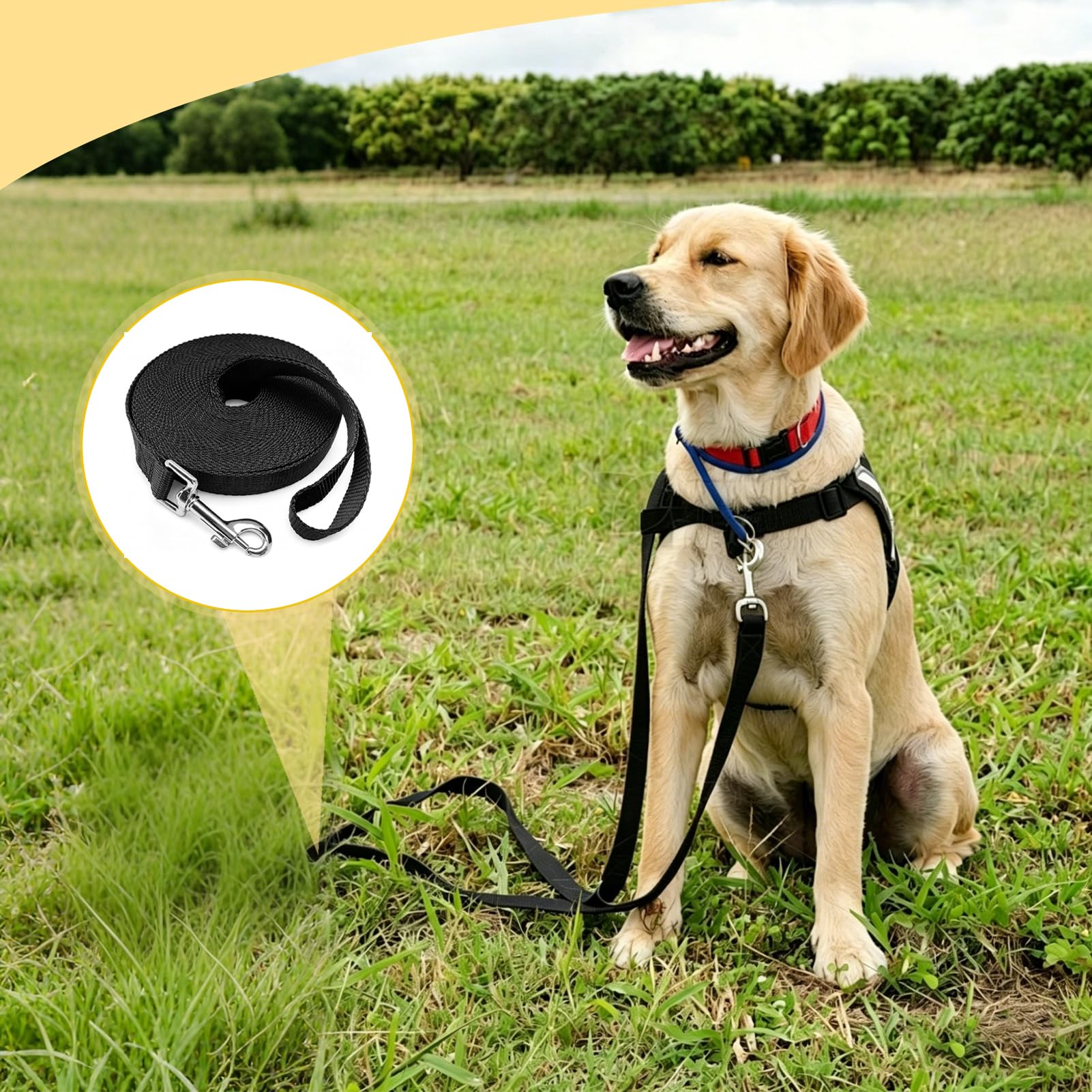 Longe pour Chien 5m, Laisse pour Chien, Laisse Imperméable avec Dragonne Et Mousqueton À 360°, pour L'entraînement pour Chiens De Petite, Moyenne Et Grande Taille (Noir)