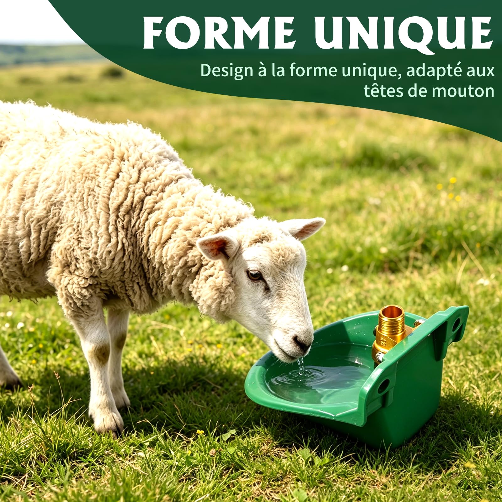 Abreuvoir Automatique pour Moutons, Veaux, Bovins, Cochons, Chiens, Porcelets (Valve d'eau en Cuivre)