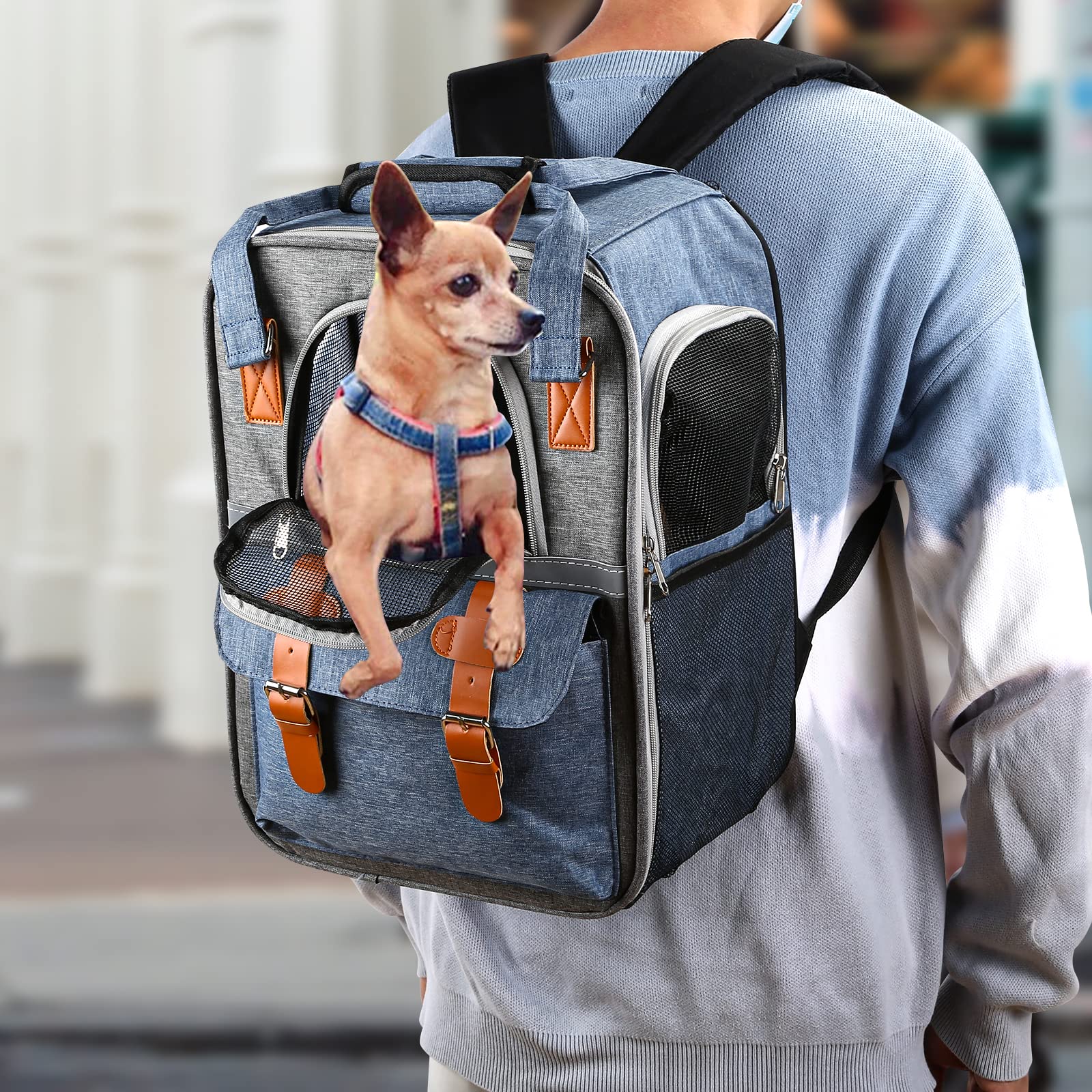 Pet Cat Carrier Backpack, Soft-Sided Dog Carrier for Cats, Small Dogs and Puppy up to 18lbs, Airline Approved Dog Carrier Privacy Protection for Home Outdoor Travel (Blue)