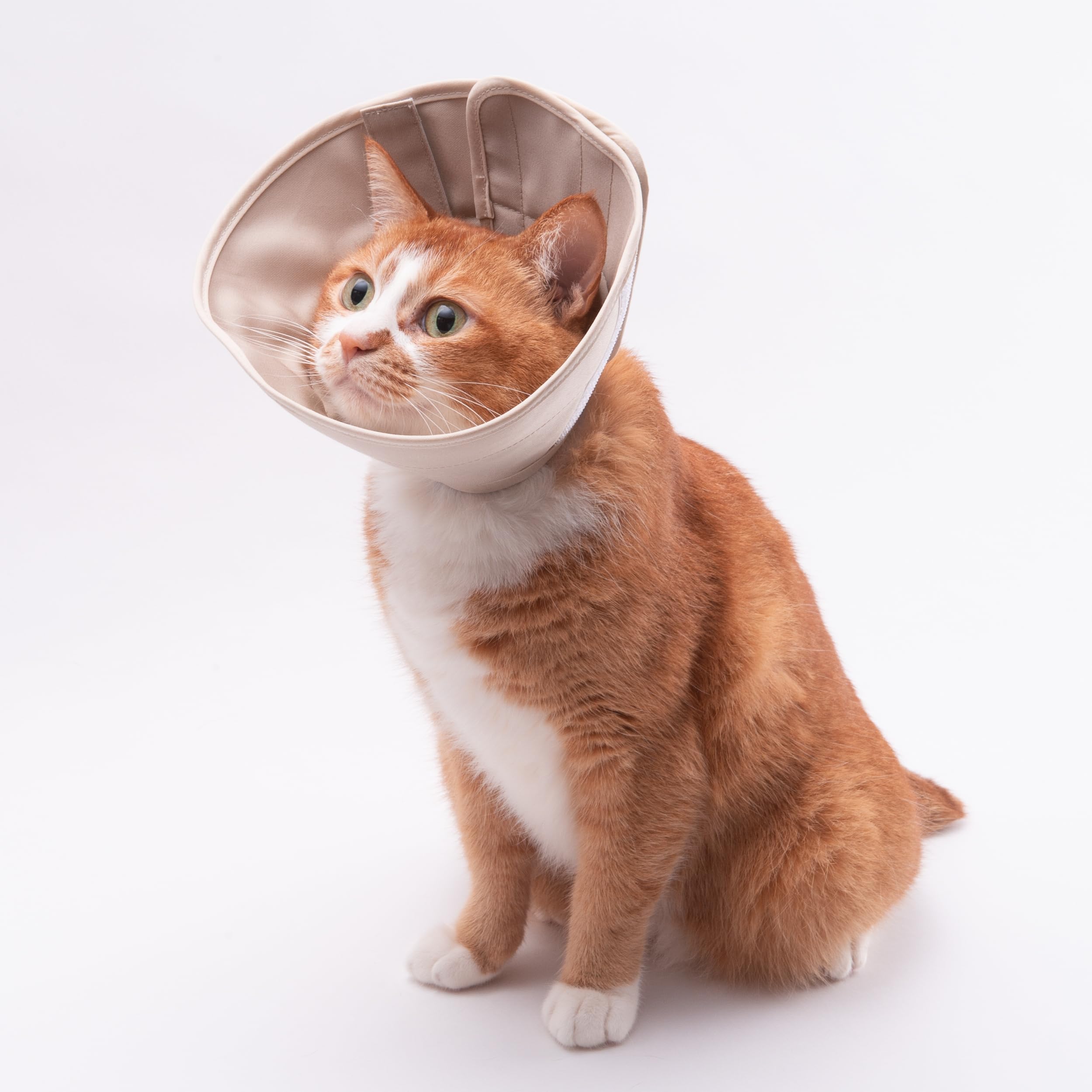 Amazon | ぽぽねこ 軽くて柔らかい猫用エリザベスカラー 傷口が見え