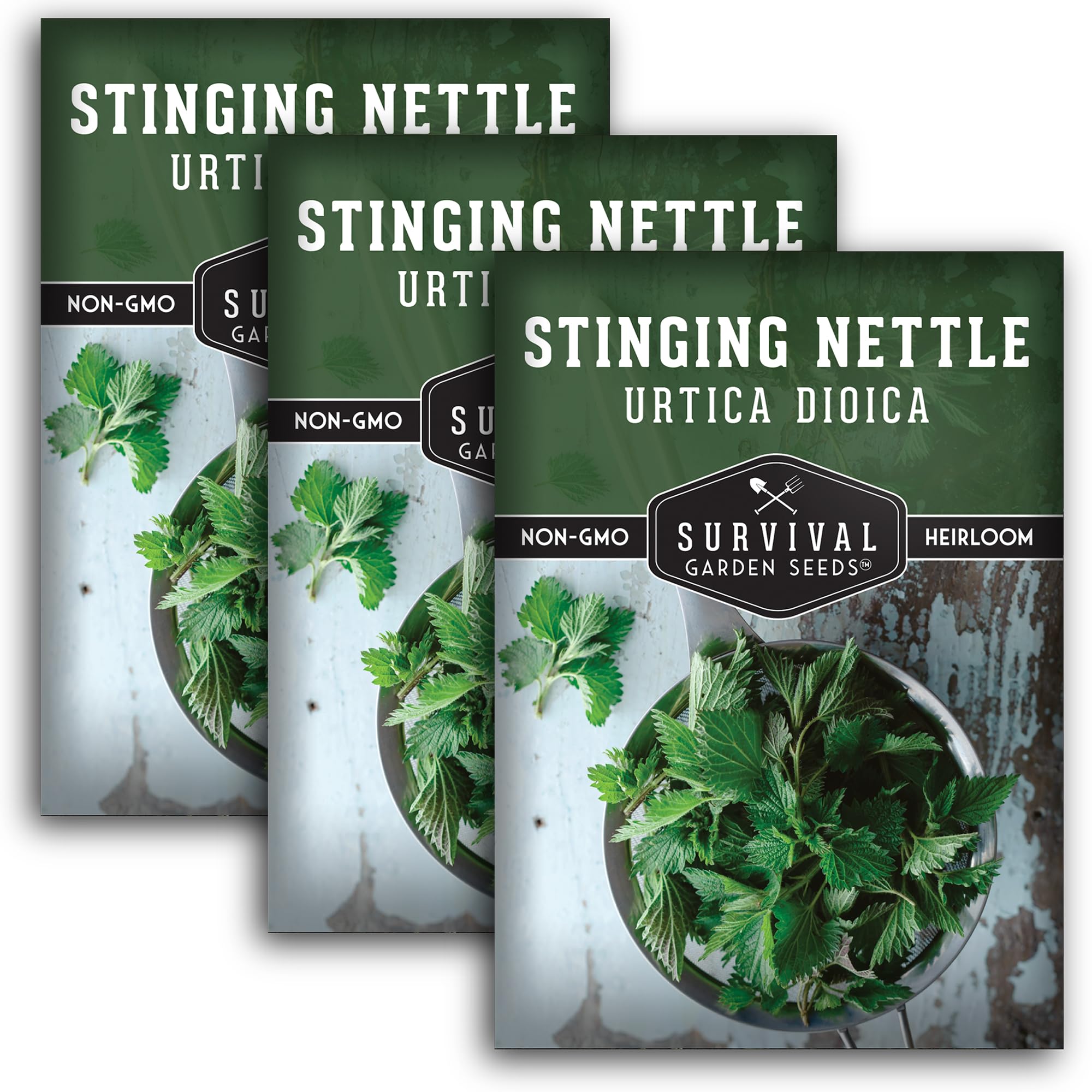Stinging Nettle Seed for Planting - 3 Packets with Instructions to Plant and Grow Medicinal Herb Common Stinging Nettle in Your Home Herb Garden - Non-GMO Heirloom Variety - Survival Garden Seeds